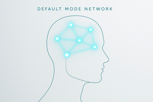 The Default Mode Network Explained: Why Your Mind Wanders (and How to Use It Creatively)