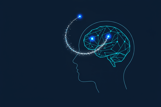 The Breathable Bridge: The Science of Breathwork and How Breathing Rewires Your Brain