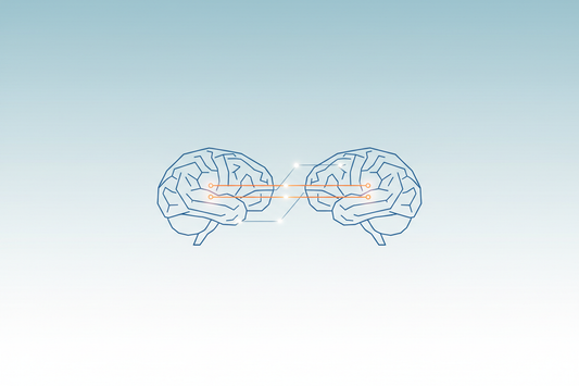 The Neuroscience of Empathy: How Your Brain Mirrors Emotions and Builds Connection