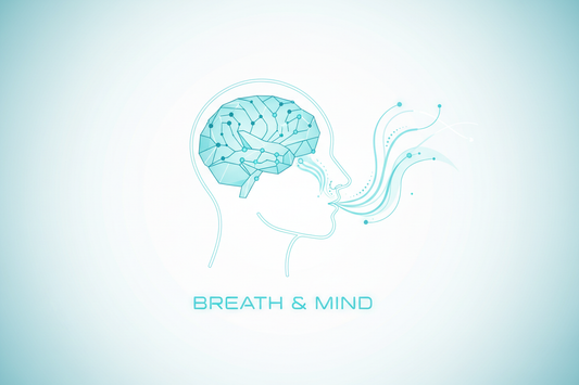 How Breathwork Regulates the Brain: Science & Somatic Healing