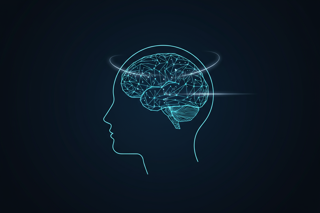 How Meditation Rewires Your Brain: A Scientific Guide to Lasting Change