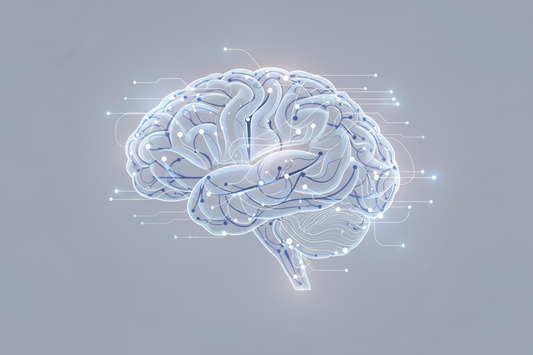 Neuroplasticity: How to Rewire Your Brain for Lifelong Growth