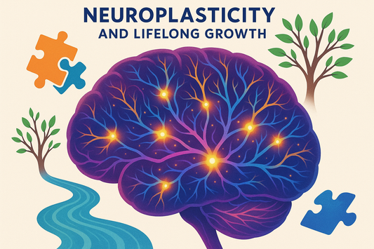 Neuroplasticity: How to Rewire Your Brain for Lifelong Growth