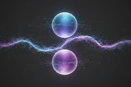 Gut Brain & Emotional Intelligence: Why Your Second Brain Shapes Your EQ