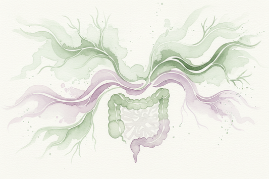 The Science of Gut Feelings: Vagus Nerve, Neuropods & Intuition