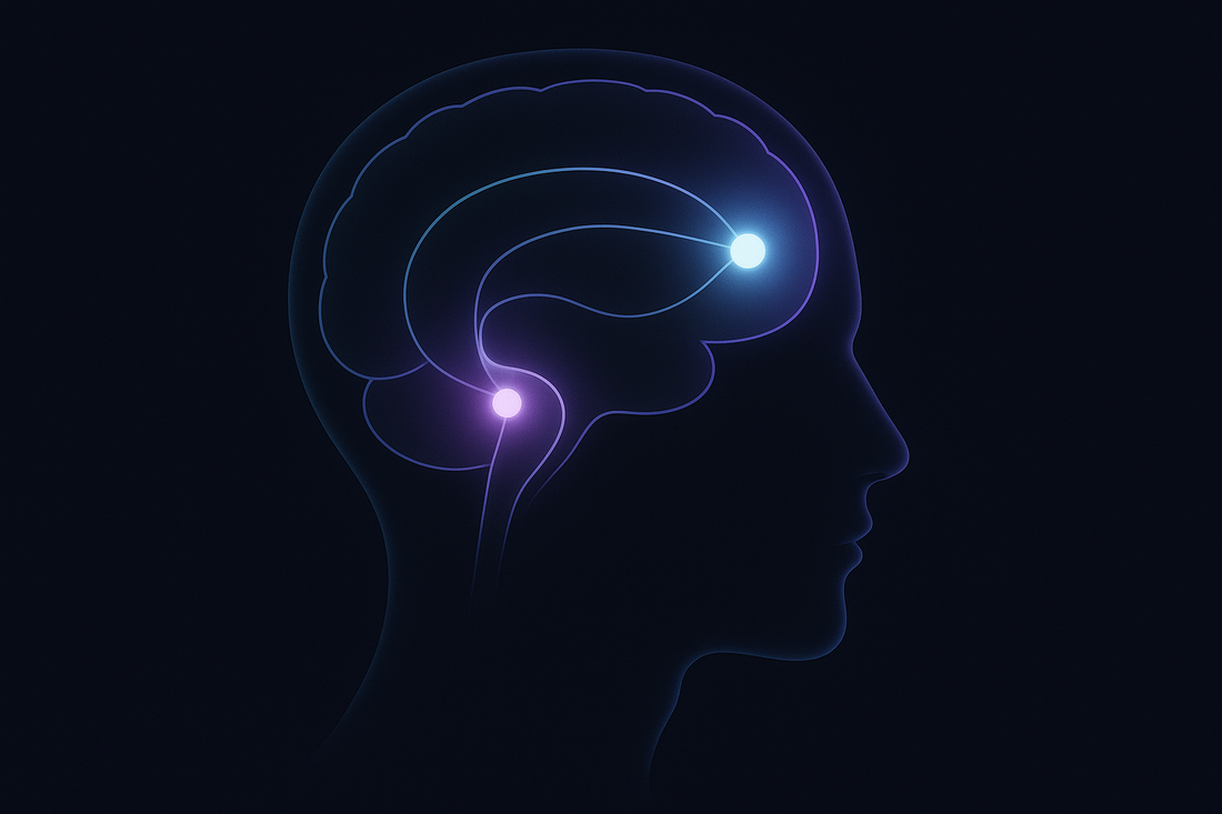 How the Nervous System Stores Emotional Memories