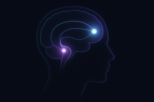 How the Nervous System Stores Emotional Memories